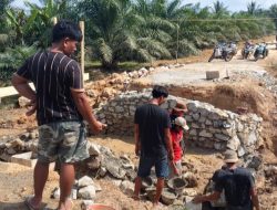 Tak Mendapat Perhatian Pemerintah, Warga Desa Epeesi – Teporombua Bangun Jembatan Secara Swadaya